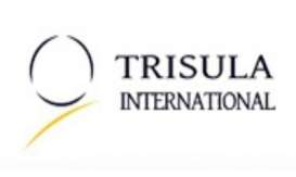 Trisula International Bukukan Kenaikan Penjualan 20%